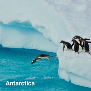 Antarctica cruise itineraries