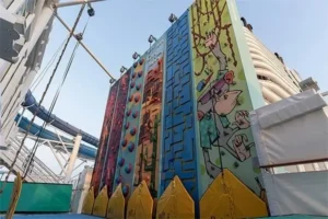 Aroya Climbing Wall Activity Area